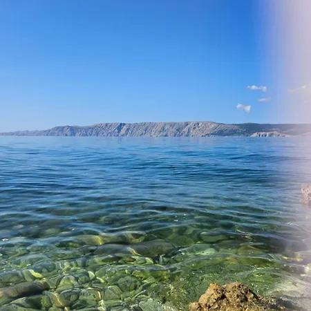 Kristina نوفي فينودولسكي